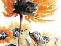 郭英英《疯狂的向日葵》