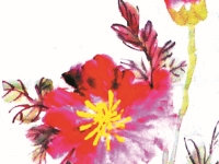 郭英英作品选登6